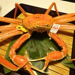 望洋樓 - 夕食：越前蟹 茹で蟹