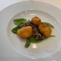 ダルマット 六本木ヒルズ店 - 