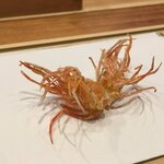 天婦羅 みやしろ - 車海老（頭）