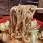 一発ラーメン はしご屋 - 太麺