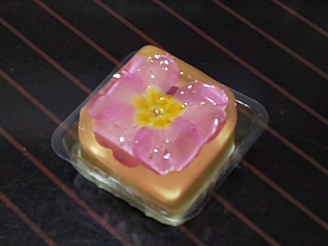 閉店 ハナノババロア ハバロ 花のババロア Havaro 東京 ケーキ 食べログ 閉店 ハナノババロア ハバロ 花のババロア Havaro 東京 ケーキ 食べログ