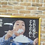 大衆食堂 半田屋 - 