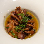 タケル クインディチ - イイダコのトマト煮