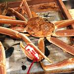 うを徳 - 鳥取県産松葉蟹