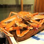 うを徳 - 松葉蟹
