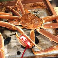 うを徳 - 鳥取県産松葉蟹