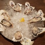 SPINY OYSTER BAR - 