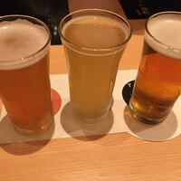 銀座しゃぶ通 マロニエゲート店 - クラフトビール