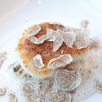 フィリップ・ミル 東京 - 「ナッツのクルートをのせた北海道産帆立貝のポワレ茸のリゾット　シャンパンソースの泡」
                    