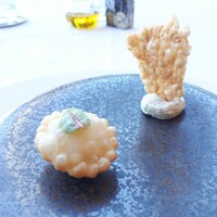 フィリップ・ミル 東京 - 「ライスペーパーとあおさのクリームチーズ　バルバジャン ホウレン草 リコッタチーズをパイ生地で包んで」