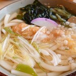 Miyamatei - 山菜うどん