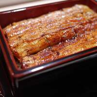うなぎ時任 - ランチ限定　うな重