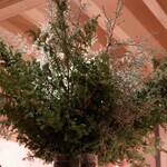 ファイ - お店のシンボル