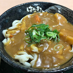 はなまるうどん - 2019年12月。カレーうどん560円。ジャガイモと人参いっぱい。