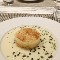ドミニク・ブシェ トーキョー - 