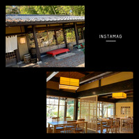 洋食 つばき - 檜colourの和モダンな店内は開放的な分
                    自分には肌寒いのでブランケット欲しかった