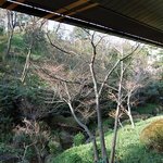 錦水 - 窓から庭を望む