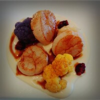 Benoit Alain Ducasse - 