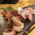 だいだいや - 刺身盛り合わせ
