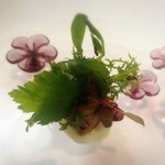 プレゼンテ スギ - 盛り付けも良い