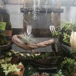 プレゼンテ スギ - 色々凝ってる