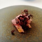 プレゼンテ スギ - たでがいいね