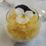 プレゼンテ スギ - 