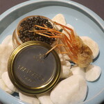 プレゼンテ スギ - 