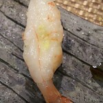 BAR・スナック きまぐれ 山菜ハンター - 