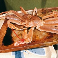 うを徳 - 鳥取産松葉かに