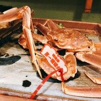 うを徳 - 鳥取産松葉かに