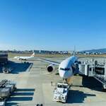 一心鮨 光洋 - 大阪伊丹空港。今から宮崎へ。