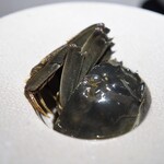 茶禅華 - 酔大閘蟹（上海蟹の紹興酒漬け）