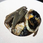 茶禅華 - 酔大閘蟹（上海蟹の紹興酒漬け）