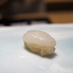 鮨 なんば - 白烏賊（呼子）