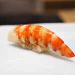 鮨 なんば - 車海老（宇部）