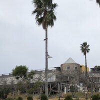 イタリア料理 リストランテ フィッシュボーン - 