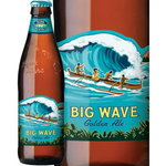 KONA Beer Big Wave Golden Ale