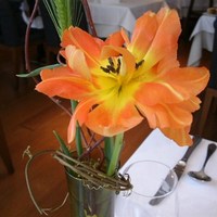 IL PINOLO 梅田 - 生花