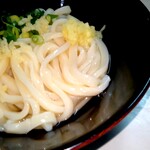 Fujimi Udon - 