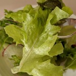 むっしゅカトウ - [料理] サラダ アップ♪ｗ ③