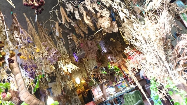 Himitsukichishokubutsuen Takaragaike Kitayama Cafe Tabelog Himitsukichishokubutsuen Takaragaike Kitayama Cafe Tabelog