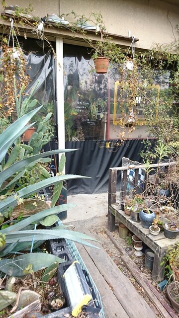 秘密基地植物園 国際会館 カフェ 食べログ 秘密基地植物園 国際会館 カフェ 食べログ
