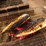 囲炉裏料理わ - （2019年5月）
      塩鯖