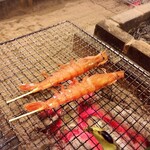 囲炉裏料理わ - （2019年5月）
      赤海老