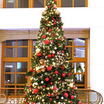 パティスリー タダシ ヤナギ - ヒルトンのクリスマスツリー