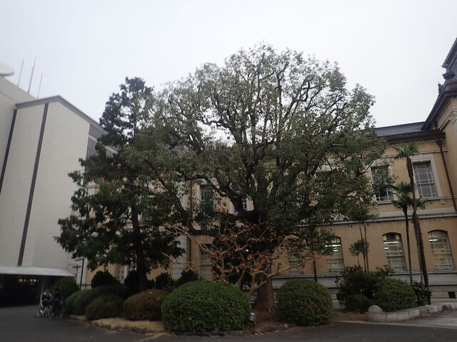 Kyoto Fuchou Heart Shop photo 3