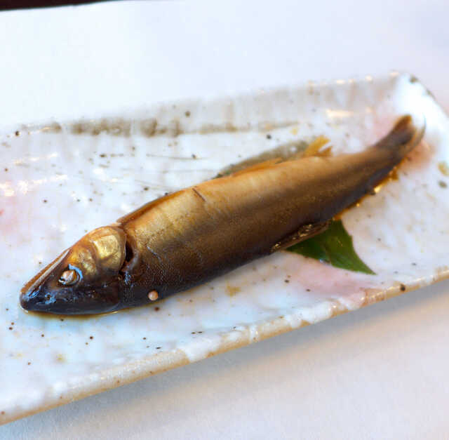 現役の鵜匠さんが経営する鮎料理店 中庭では鵜を間近に見られる それが一番印象に残った By よい子 鵜の家 足立 うのいえ あだち 関市役所前 魚介料理 海鮮料理 食べログ 現役の鵜匠さんが経営する鮎料理店 中庭では鵜を間近に見られる それが一番印象に残った By よい子 鵜の家 足立 うのいえ あだち 関市役所前 魚介料理 海鮮料理 食べログ