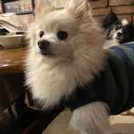 グラナダ - ずっと隣にいてくれた