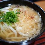 手打ちさぬきうどん 心 - かけうどん